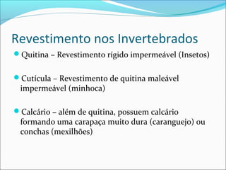 Revestimento nos Invertebrados
Quitina – Revestimento rígido impermeável (Insetos)
Cutícula – Revestimento de quitina maleável

impermeável (minhoca)

Calcário – além de quitina, possuem calcário

formando uma carapaça muito dura (caranguejo) ou
conchas (mexilhões)

 