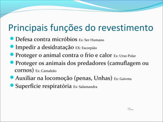Principais funções do revestimento
Defesa contra micróbios Ex: Ser Humano
Impedir a desidratação EX: Escorpião
Proteger o animal contra o frio e calor Ex: Urso Polar
Proteger os animais dos predadores (camuflagem ou

cornos) Ex: Camaleão
Auxiliar na locomoção (penas, Unhas) Ex: Gaivota
Superfície respiratória Ex: Salamandra

31 P1
11 e 12 CA

 