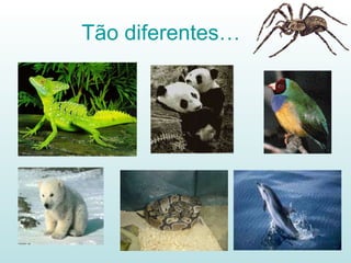Tão diferentes… 
