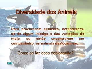 Diversidade dos Animais <ul><li>Para procurarem alimento, defenderem-se de algum inimigo e das variações do meio, ou então...