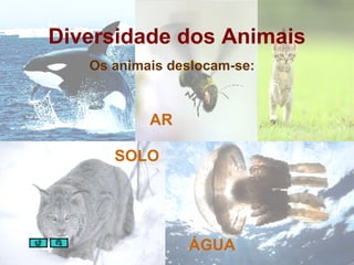 Diversidade dos Animais Os animais deslocam-se: SOLO AR ÁGUA 