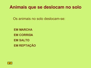 Animais que se deslocam no solo Os animais no solo deslocam-se: EM MARCHA EM CORRIDA EM SALTO EM REPTAÇÃO 