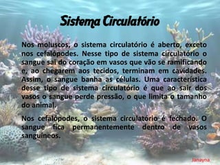 Sistema Circulatório
Nos moluscos, o sistema circulatório é aberto, exceto
nos cefalópodes. Nesse tipo de sistema circulatório o
sangue sai do coração em vasos que vão se ramificando
e, ao chegarem aos tecidos, terminam em cavidades.
Assim, o sangue banha as células. Uma característica
desse tipo de sistema circulatório é que ao sair dos
vasos o sangue perde pressão, o que limita o tamanho
do animal.
Nos cefalópodes, o sistema circulatório é fechado. O
sangue fica permanentemente dentro de vasos
sanguíneos.

                                                Janayna
 