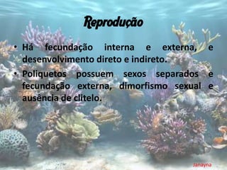 Reprodução
• Há fecundação interna e externa, e
  desenvolvimento direto e indireto.
• Poliquetos possuem sexos separados e
  fecundação externa, dimorfismo sexual e
  ausência de clitelo.




                                    Janayna
 