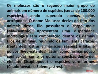 Os moluscos são o segundo maior grupo de
animais em número de espécies (cerca de 100.000
espécies), sendo superado apenas pelos
artrópodes. O nome Mollusca deriva do fato dos
animais desse filo possuirem o corpo mole
(Mollis=Mole). Apresentam uma disparidade
morfológica sem comparação dentre os demais
filos de animais, reunindo os familiares caracóis
(reptantes), ostras e mariscos (sésseis) e lulas e
polvos (livre-natantes), assim como formas pouco
conhecidas, como os quítons, conchas dente-de-
elefante (Scaphopoda) e espécies vermiformes
(Caudofoveata e Solenogastres).
                                             Denise
 