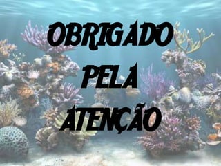 OBRIGADO
   PELA
 ATENÇÃO
 