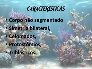 CARACTERISTÍCAS
• Corpo não segmentado
• Simetria bilateral,
• Celomados,
• Protostômios,
• Triblásticos.

                          Lucas
 