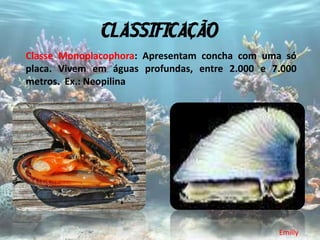 CLASSIFICAÇÃO
Classe Monoplacophora: Apresentam concha com uma só
placa. Vivem em águas profundas, entre 2.000 e 7.000
metros. Ex.: Neopilina




                                                Emilly
 