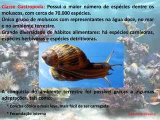 Classe Gastropoda: Possui o maior número de espécies dentre os
moluscos, com cerca de 70.000 espécies.
Único grupo de moluscos com representantes na água doce, no mar
e no ambiente terrestre.
Grande diversidade de hábitos alimentares: há espécies carnívoras,
espécies herbívoras e espécies detritívoras.




A conquista do ambiente terrestre foi possível graças a algumas
adaptações, tais como:
  * Concha cônica e mais leve, mais fácil de ser carregada.
  * Fecundação interna                                        Gessiane oliveira
 
