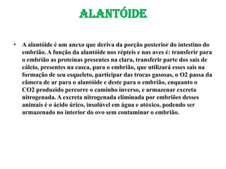 Alantóide
• A alantóide é um anexo que deriva da porção posterior do intestino do
embrião. A função da alantóide nos répteis e nas aves é: transferir para
o embrião as proteínas presentes na clara, transferir parte dos sais de
cálcio, presentes na casca, para o embrião, que utilizará esses sais na
formação de seu esqueleto, participar das trocas gasosas, o O2 passa da
câmera de ar para o alantóide e deste para o embrião, enquanto o
CO2 produzido percorre o caminho inverso, e armazenar excreta
nitrogenada. A excreta nitrogenada eliminada por embriões desses
animais é o ácido úrico, insolúvel em água e atóxico, podendo ser
armazenado no interior do ovo sem contaminar o embrião.
 