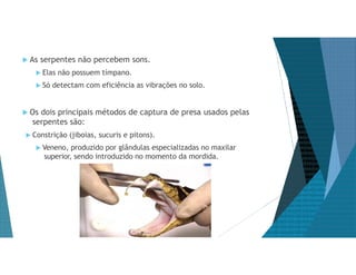  As serpentes não percebem sons.
 Elas não possuem tímpano.
 Só detectam com eficiência as vibrações no solo.
 Os dois principais métodos de captura de presa usados pelas
serpentes são:
 Constrição (jiboias, sucuris e pitons).
 Veneno, produzido por glândulas especializadas no maxilar
superior, sendo introduzido no momento da mordida.
 