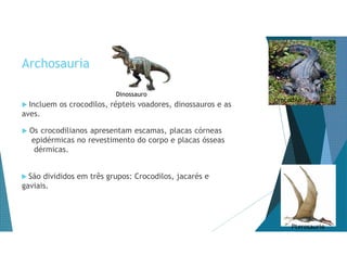 Archosauria
 Os crocodilianos apresentam escamas, placas córneas
epidérmicas no revestimento do corpo e placas ósseas
dérmicas.
 São divididos em três grupos: Crocodilos, jacarés e
gaviais.
Pterosaurio
Crocodilo
Dinossauro
 Incluem os crocodilos, répteis voadores, dinossauros e as
aves.
 