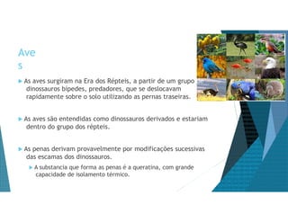 Ave
s
 As aves surgiram na Era dos Répteis, a partir de um grupo de
dinossauros bípedes, predadores, que se deslocavam
rapidamente sobre o solo utilizando as pernas traseiras.
 As aves são entendidas como dinossauros derivados e estariam
dentro do grupo dos répteis.
 As penas derivam provavelmente por modificações sucessivas
das escamas dos dinossauros.
 A substancia que forma as penas é a queratina, com grande
capacidade de isolamento térmico.
 