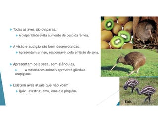  Todas as aves são ovíparas.
 A oviparidade evita aumento de peso da fêmea.
 A visão e audição são bem desenvolvidas.
 Apresentam siringe, responsável pela emissão de sons.
 Apresentam pele seca, sem glândulas.
 A maioria dos animais apresenta glândula
uropigiana.
 Existem aves atuais que não voam.
 Quivi, avestruz, emu, ema e o pinguim.
Emu
 
