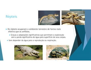 Répteis
 Os répteis ocuparam o ambiente terrestre de forma mais
efetiva que os anfíbios.
 Graças a adaptações significativas que permitiam a exploração
sem a perda significativa de água pela superfície de seus corpos.
 Sem depender da água para a reprodução ou respiração.
 