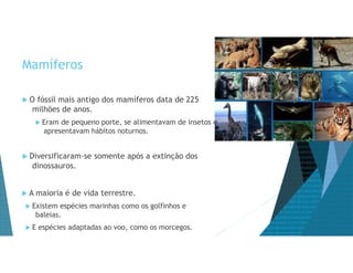 Mamíferos
 O fóssil mais antigo dos mamíferos data de 225
milhões de anos.
 Eram de pequeno porte, se alimentavam de insetos e
apresentavam hábitos noturnos.
 Diversificaram-se somente após a extinção dos
dinossauros.
 A maioria é de vida terrestre.
 Existem espécies marinhas como os golfinhos e
baleias.
 E espécies adaptadas ao voo, como os morcegos.
 