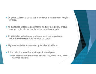  Os pelos cobrem o corpo dos mamíferos e apresentam função
térmica.
 As glândulas sebáceas geralmente na base dos pelos, produz
uma secreção oleosa que lubrifica os pelos e a pele.
 As glândulas sudoríparas produzem suor, um importante
mecanismo de regulação térmica do corpo.
 Algumas espécies apresentam glândulas odoríferas.
 Sob a pele dos mamíferos há o penículo adiposo.
 Bem desenvolvido em animais de clima frio, como focas, leões-
marinhos e baleias.
 