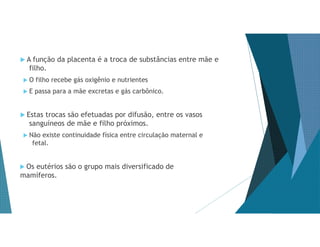  A função da placenta é a troca de substâncias entre mãe e
filho.
 O filho recebe gás oxigênio e nutrientes
 E passa para a mãe excretas e gás carbônico.
 Estas trocas são efetuadas por difusão, entre os vasos
sanguíneos de mãe e filho próximos.
 Não existe continuidade física entre circulação maternal e
fetal.
 Os eutérios são o grupo mais diversificado de
mamíferos.
 