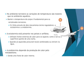  No ambiente terrestre as variações de temperatura são maiores
que no ambiente aquático.
 Manter a temperatura do corpo é fundamental para os
vertebrados terrestres.
 E é feita através de dois mecanismos termo reguladores: a
ectotermia e a endotermia.
 A ectotermia está presente nos peixes e anfíbios.
 Utilizam fontes externas de calor para se aquecer, como o sol ou a
superfície quente de uma rocha.
 Quando já aquecidos procuram locais sombreados ou entram na
água.
 A endotermia depende da produção de calor pelo
metabolismo.
 Sendo uma fonte de calor interna.
 