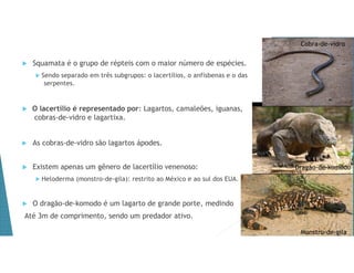  Squamata é o grupo de répteis com o maior número de espécies.
 Sendo separado em três subgrupos: o lacertílios, o anfisbenas e o das
serpentes.
 O lacertílio é representado por: Lagartos, camaleões, iguanas,
cobras-de-vidro e lagartixa.
 As cobras-de-vidro são lagartos ápodes.
 Existem apenas um gênero de lacertílio venenoso:
 Heloderma (monstro-de-gila): restrito ao México e ao sul dos EUA.
 O dragão-de-komodo é um lagarto de grande porte, medindo
Até 3m de comprimento, sendo um predador ativo.
Cobra-de-vidro
Monstro-de-gila
Dragão-de-komodo
 