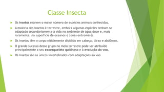 Classe Insecta
 Os insetos reúnem o maior número de espécies animais conhecidas.
 A maioria dos insetos é terrestre, embora algumas espécies tenham se
adaptado secundariamente à vida no ambiente de água doce e, mais
raramente, na superfície de oceanos e zonas entremarés.
 Os insetos têm o corpo nitidamente dividido em cabeça, tórax e abdômen.
 O grande sucesso desse grupo no meio terrestre pode ser atribuído
principalmente a seu exoesqueleto quitinoso e à evolução do voo.
 Os insetos são os únicos invertebrados com adaptações ao voo
 
