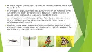  Os insetos surgiram provavelmente de ancestrais sem asas, parecidos com as atuais
traças dos livros.
 Na evolução do grupo, as primeiras asas que surgiram eram em número de quatro
(um par anterior e outro par posterior) e se dispunham perpendicularmente em
relação ao eixo longitudinal do corpo, como nas libélulas atuais.
 A seguir surgiu um mecanismo que propiciou a flexão das asas para trás, sobre o
tórax e o abdômen, quando o inseto pousa. Isso permitiu que os insetos se
refugiassem em locais estreitos.
 Em alguns grupos, as asas anteriores sofreram modificações, passando a proteger
as asas posteriores, que permaneceram membranosas e responsáveis pelo voo. É o
que acontece, por exemplo, com os besouros
 