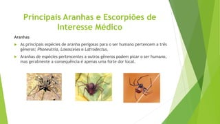 Principais Aranhas e Escorpiões de
Interesse Médico
Aranhas
 As principais espécies de aranha perigosas para o ser humano pertencem a três
gêneros: Phoneutria, Loxosceles e Latrodectus.
 Aranhas de espécies pertencentes a outros gêneros podem picar o ser humano,
mas geralmente a consequência é apenas uma forte dor local.
 