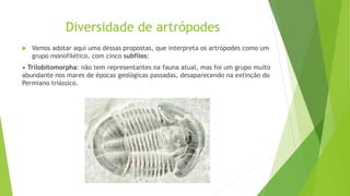 Diversidade de artrópodes
 Vamos adotar aqui uma dessas propostas, que interpreta os artrópodes como um
grupo monofilético, com cinco subfilos:
• Trilobitomorpha: não tem representantes na fauna atual, mas foi um grupo muito
abundante nos mares de épocas geológicas passadas, desaparecendo na extinção do
Permiano triássico.
 