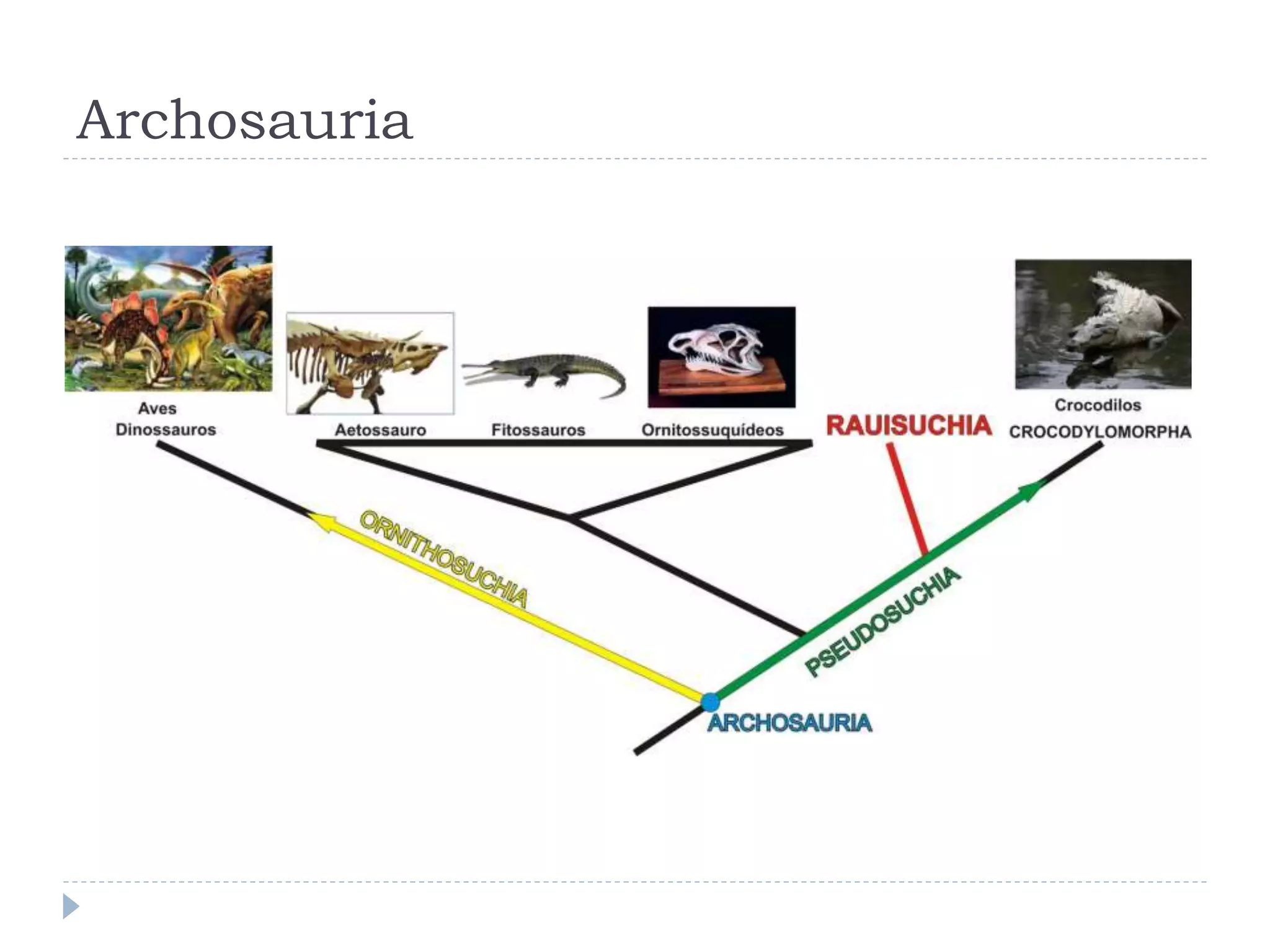 Archosauria