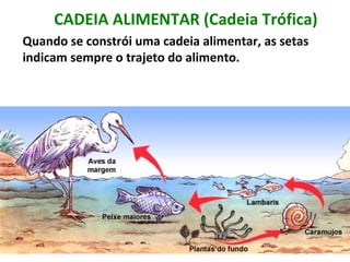 CADEIA ALIMENTAR (Cadeia Trófica)
Quando se constrói uma cadeia alimentar, as setas
indicam sempre o trajeto do alimento.
 