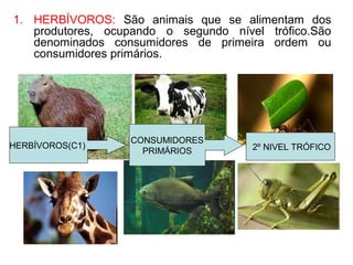 1. HERBÍVOROS: São animais que se alimentam dos
produtores, ocupando o segundo nível trófico.São
denominados consumidores de primeira ordem ou
consumidores primários.
HERBÍVOROS(C1)
CONSUMIDORES
PRIMÁRIOS 2º NIVEL TRÓFICO
 