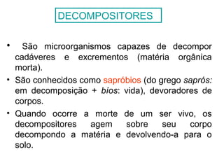• São microorganismos capazes de decompor
cadáveres e excrementos (matéria orgânica
morta).
• São conhecidos como sapróbios (do grego saprós:
em decomposição + bíos: vida), devoradores de
corpos.
• Quando ocorre a morte de um ser vivo, os
decompositores agem sobre seu corpo
decompondo a matéria e devolvendo-a para o
solo.
DECOMPOSITORES
 