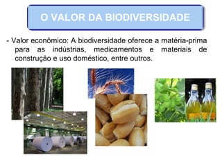 - Valor econômico: A biodiversidade oferece a matéria-prima
para as indústrias, medicamentos e materiais de
construção e uso doméstico, entre outros.
O VALOR DA BIODIVERSIDADE
 