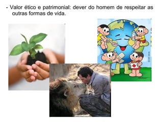 - Valor ético e patrimonial: dever do homem de respeitar as
outras formas de vida.
 