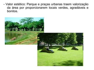- Valor estético: Parque e praças urbanas traem valorização
da área por proporcionarem locais verdes, agradáveis e
bonitos.
 
