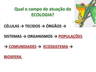 Qual o campo de atuação da
ECOLOGIA?
CÉLULAS → TECIDOS → ÓRGÃOS →
SISTEMAS → ORGANISMOS → POPULAÇÕES
→ COMUNIDADES → ECOSSISTEMA →
BIOSFERA
 
