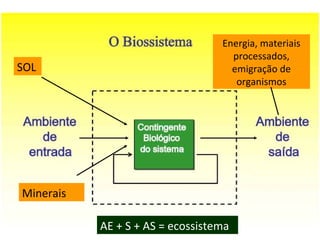 SOL
Minerais
Energia, materiais
processados,
emigração de
organismos
AE + S + AS = ecossistema
 