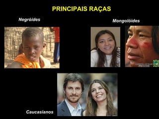PRINCIPAIS RAÇAS
Negróides Mongolóides
Caucasianos
 