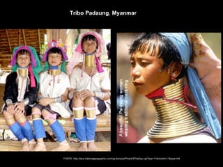Tribo Padaung, Myanmar
FONTE: http://lava.nationalgeographic.com/cgi-bin/pod/PhotoOfTheDay.cgi?day=11&month=11&year=04
 