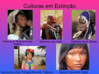 Culturas em Extinção
Padaung, as “Mulheres-Girafa”,
Tailândia
Mulheres Mursi, Etiópia
Mulheres Jath, Índia
Menina das tribos Triângulo Dourado, Tailândia Menina Yanomami, Brasil
 