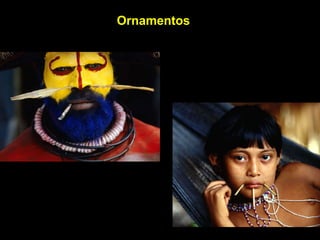 Ornamentos 