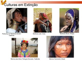 Geografia - 8º ano
Culturas em Extinção
Padaung, as “Mulheres-Girafa”,
Tailândia
Mulheres Mursi, EtiópiaMulheres Jath, Índia
Menina das tribos Triângulo Dourado, Tailândia Menina Yanomami, Brasil
 