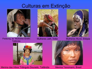Culturas em Extinção




 Padaung, as “Mulheres-Girafa”,   Mulheres Jath, Índia      Mulheres Mursi, Etiópia
          Tailândia




Menina das tribos Triângulo Dourado, Tailândia     Menina Yanomami, Brasil
 