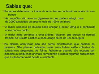 Sabias que : Podemos determinar a idade de uma árvore contando os anéis do seu tronco . As sequóias são arvores gigantescas que podem atingir mais de 3000 toneladas de peso e mais de 100m de altura. A maior semente do mundo pode chegar a pesar 20Kg e é conhecida como coco – duplo. A maior folha pertence a uma arácea -gigante, que cresce na floresta tropical do Sueste asiático e pode atingir cerca de 3m de largura  As plantas carnívoras não são seres monstruosos que comem as pessoas. São plantas delicadas cujas suas folhas estão cobertas de substâncias pegajosas. As folhas fecham-se quando são tocadas por insectos ou pequenos animais, fornecendo à planta algumas substâncias que a vão tornar mais bonita e resistente 
