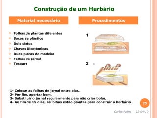 Folhas de plantas diferentes Sacos de plástico Dois cintos Chaves Dicotómicas Duas placas de madeira Folhas de jornal Tesoura Material necessário Procedimentos Construção de um Herbário 1 2 1- Colocar as folhas de jornal entre elas. . 2- Por fim, apertar bem. 3- Substituir o jornal regularmente para não criar bolor. 4- Ao fim de 15 dias, as folhas estão prontas para construir o herbário. Carlos Palma  22-04-10 