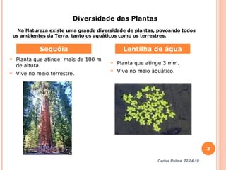 Planta que atinge  mais de 100 m de altura.  Vive no meio terrestre. Planta que atinge 3 mm.  Vive no meio aquático. Sequóia Lentilha de água Diversidade das Plantas  Na Natureza existe uma grande diversidade de plantas, povoando todos os ambientes da Terra, tanto os aquáticos como os terrestres. Carlos Palma  22-04-10 