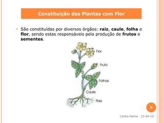 São constituídas por diversos órgãos:  raiz ,  caule ,  folha  e  flor , sendo estas responsáveis pela produção de  frutos  e  sementes . Constituição das Plantas com Flor Carlos Palma  22-04-10 