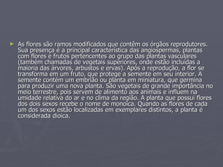 As flores são ramos modificados que contêm os órgãos reprodutores. Sua presença é a principal característica das angiospermas, plantas com flores e frutos pertencentes ao grupo das plantas vasculares (também chamadas de vegetais superiores, onde estão incluídas a maioria das árvores, arbustos e ervas). Após a reprodução, a flor se transforma em um fruto, que protege a semente em seu interior. A semente contém um embrião ou planta em miniatura, que germina para produzir uma nova planta. São vegetais de grande importância no meio terrestre, pois servem de alimento aos animais e influem na umidade relativa do ar e no clima da região. A planta que possui flores dos dois sexos recebe o nome de monoica. Quando as flores de cada um dos sexos estão localizadas em exemplares distintos, a planta é considerada dioica.   