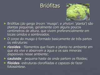 Briófitas Briófitas (do gergo  bryon : 'musgo'; e  phyton : 'planta') são plantas pequenas, geralmente com alguns poucos centímetros de altura, que vivem preferencialmente em locais úmidos e sombreados. O corpo do musgo é formado basicamente de três partes ou estruturas: rizoides  - filamentos que fixam a planta no ambiente em que ela vive e absorvem a água e os sais minerais disponíveis nesse ambiente;  cauloide  - pequena haste de onde partem os filoides;  filoides  -estruturas clorofiladas e capazes de fazer fotossíntese.  