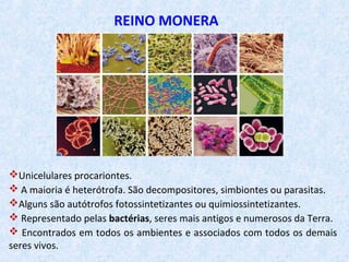 REINO MONERA
Unicelulares procariontes.
 A maioria é heterótrofa. São decompositores, simbiontes ou parasitas.
Alguns são autótrofos fotossintetizantes ou quimiossintetizantes.
 Representado pelas bactérias, seres mais antigos e numerosos da Terra.
 Encontrados em todos os ambientes e associados com todos os demais
seres vivos.
 
